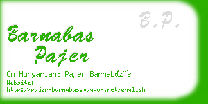 barnabas pajer business card